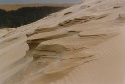 Microforms on the dune slope.