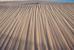 The dune slope. 