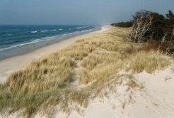 Plaża 208 km fot. M. Zielonka