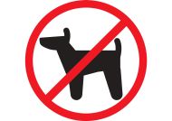 Uwaga właściciele psów
